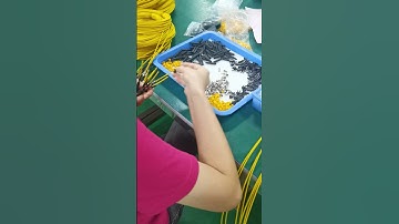 Sub-Assembly for MPO Fiber Patch Cables