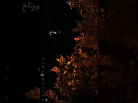 كثير من الحب كثير من العنف حالات واتس