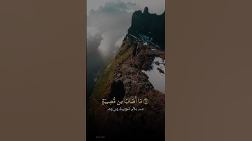 #رعد_محمد_الكردي #سورة_التغابن #رعدالكردي #الشيخ_رعد_الكردي #تلاوة_خاشعة #ارح_قلبك @RadMohammad