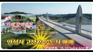 안성시 고삼호수 카페 강력추천부지 매매#고삼호수개발#노을이 아름다운#고삼대교