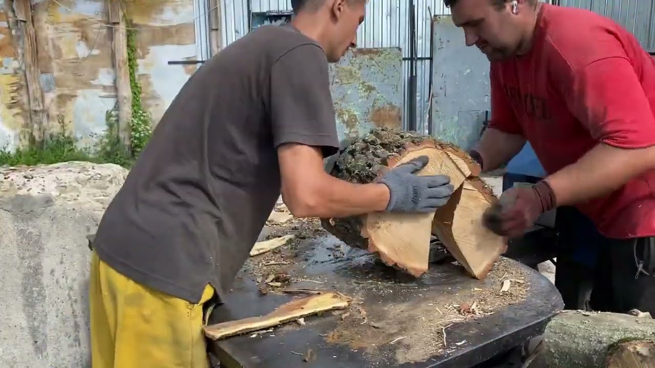 Hardwood That Refused to Split