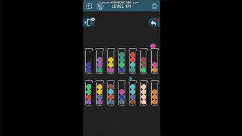 Sorter It Puzzle level 171