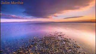 MENJULANG KASIH~Zaid [Lirik] #MenjulangKasih #Zaid