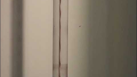 Transitional Flow (example 2) 0.6 l/min