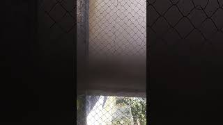 Vedio Ini Saya Rakam Dekat Kdanung Ponopuan Tenghilan Kelmarin Bising Saja Kacau Orang Bodoh Betul 