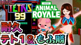 【バトロワ耐久】tetris99とSARでてっぺんとる【まで交互にやる】