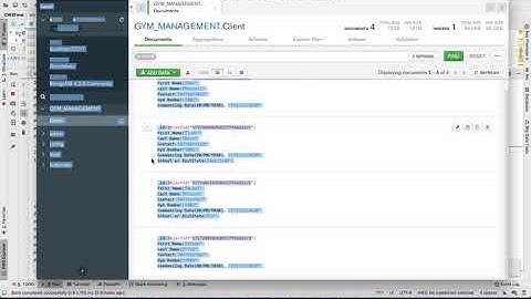 Gym Management System - JavaFX, Mongo DB