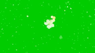 Green screen flower petals falling. Green screen flower animated HD fx effect.