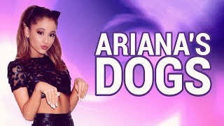 All of Ariana Grande's Dogs!