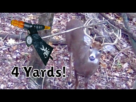 How to Call in Whitetail Bucks/ Flip Out Public Land Success