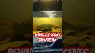 Underwater Videography Behind the Scenes. #shorts