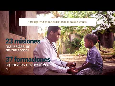Video: Beneficios De Las Visitas Domiciliarias Veterinarias »Wiki Ùtil Veterinario Diario