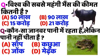 कौन-सा जानवर पानी में रहता है,लेकिन पानी नहीं पीता है | विश्व की सबसे महंगी भैंस की कीमत कितनी है