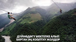 Дүйнөдөгү мектепке алып барган ЭҢ КООПТУУ жолдор