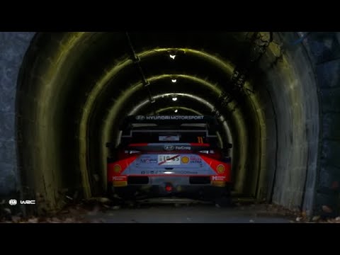 F1 말고 WRC