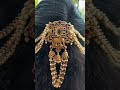Beautiful jewellery 😍#jewellery#fashion#trends#shorts#ytshorts #trendingshorts#viralshorts