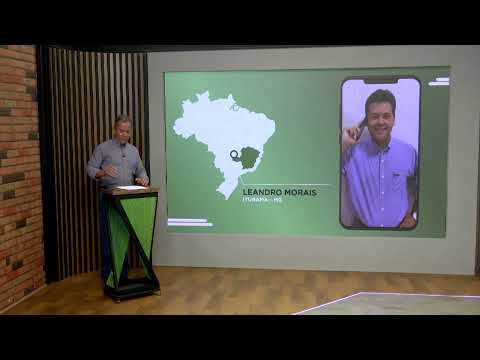 COCHO MINEIRO QUE DÁ MUITO GOSTO E BOIADA GORDA! PECUARISTA MOSTRA SEU SISTEMA DE PRODUÇÃO