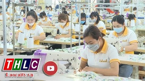Giải quyết khó khăn cho doanh nghiệp tại các cụm công nghiệp, Khu Kinh tế cửa khẩu| THLC
