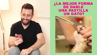 ¿Le puedo dar a un gato una pastilla camuflada en la comida?