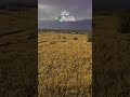 Golden Green after rain in Parachinar #malikhel #parachinar #music #naturelovers #hossainvlogs