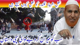 Lal Shahbaz Qalandar Very Very Beautiful Video By Syed Najam Ali Shah Nusahi Qadri Best Bayan 2021