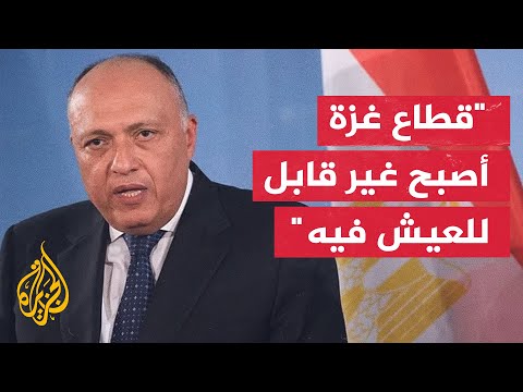 وزير الخارجية المصري: يجب دعم إقامة الدولة الفلسطينية لإنهاء الصراع في المنطقة