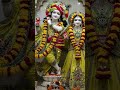 #devotionalsongs #radhakrishna #krishnabhajan #krishna #shortsfeed #krishnastatus #youtubeshorts