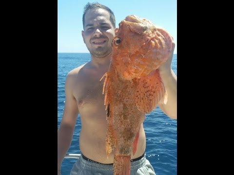 Bolentino di profondita nonno in azione