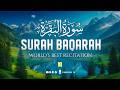Surah Al Baqarah Full سورة البقرة Ultimate Most Heart Touching Quran Recitation Zikrullah TV