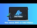 SHO от DAO Maker - как это работает