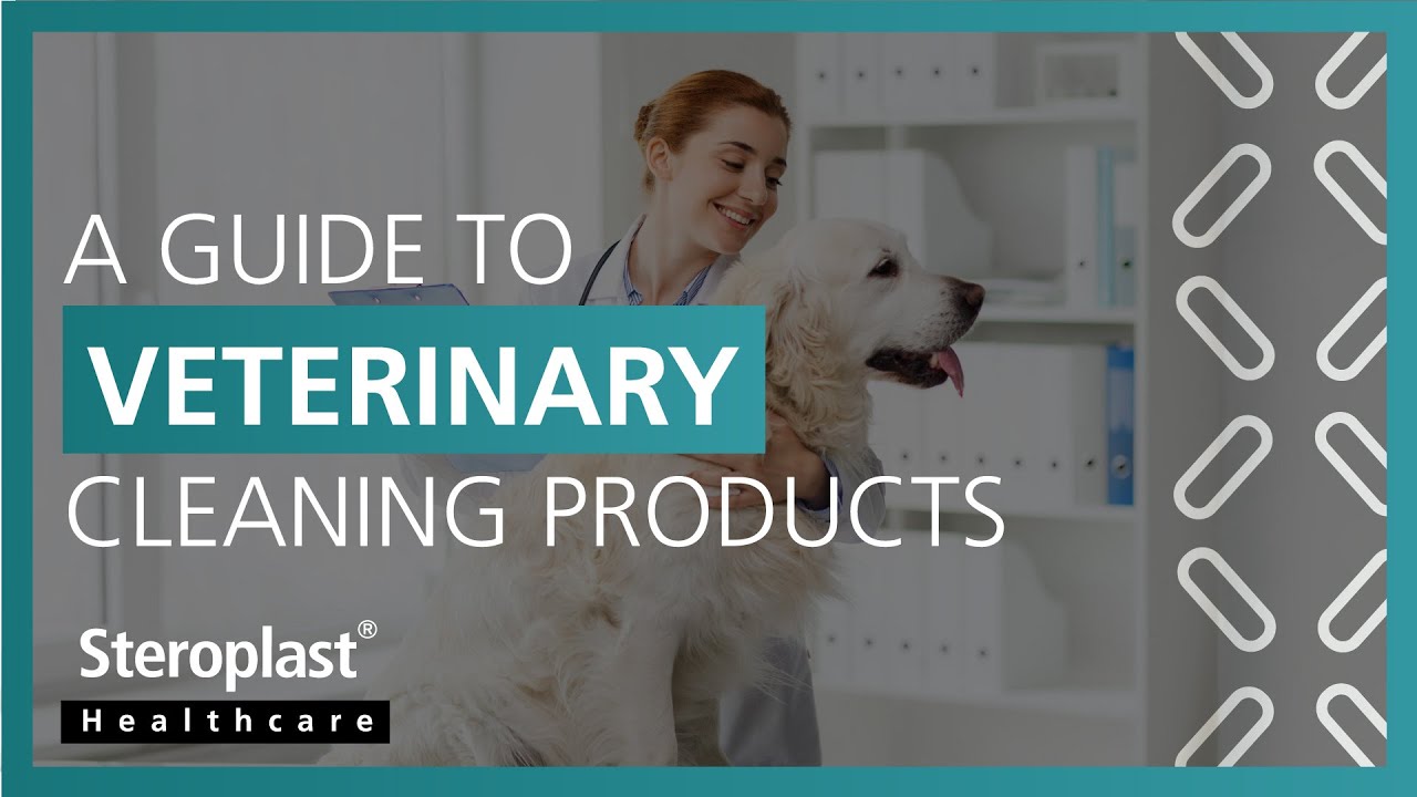A Guide to Veterinary Cleaning Products Steroplast Healthcare YouTube
