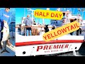 January half day san diego premier sportfishing first giant yellowtail of the year calico  sculpin