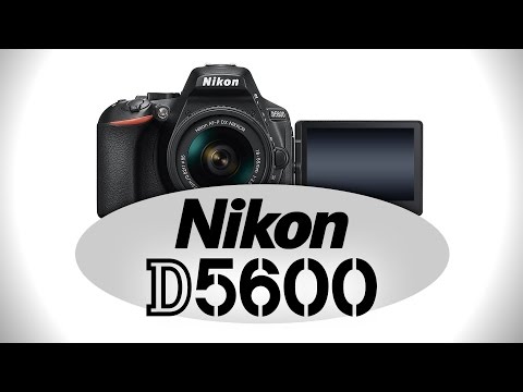 Nikon D5600 디지털 SLR 카메라-Cameta 카메라의 실습 미리보기