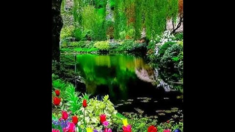 سورة الزلزلة للقارئ الشيخ عادل ريان