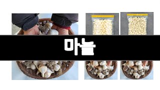 마늘 추천 BEST 3  식품 올해인기상품
