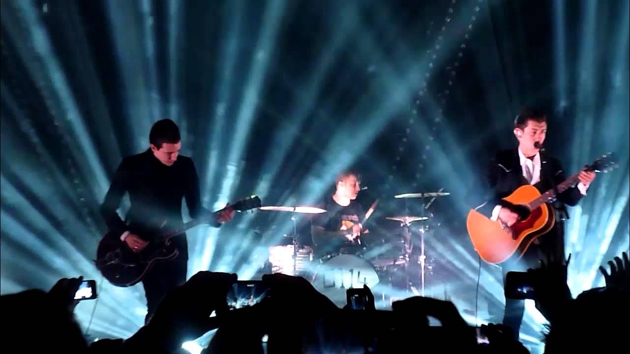 Arctic monkeys live