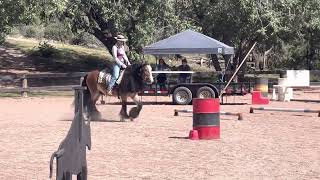 BWG The Arbitrator by Cass aka Denali and Tessa Nicolet Working Equitation Level 1 EOH 9/24/22