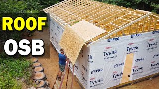 Roof OSB Sheathing and Underlayment Build a 20x30 Workshop
