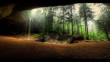 سورة الحجرات كاملة | محمد هشام | تلاوة هادئة مريحة للأعصاب والنفس💚💚