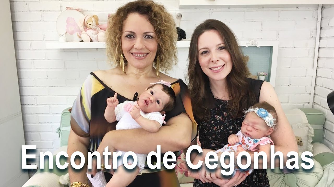 Cegonhas Passeando com Bebês Reborn no Shopping Iguatemi de Brasília 