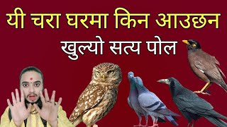 यी चरा घरमा किन आउछन/जानौ रहस्य/Shreeguru