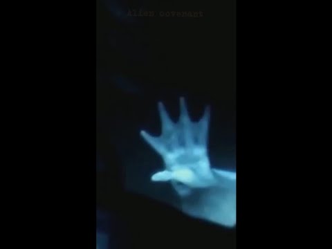 Существо, заснятое на дне Гренландского моря