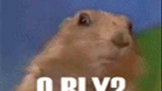 Dramatic looking Gopher XD