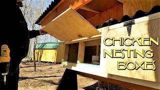 chicken coop nesting box