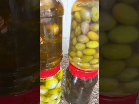 أحلى مشوار بالطعم العيش زيتون اخضر واسود ومكدوس ولبنة مدحبرة وزيت وزعتر بلدي ع أصول مع مشوار بي أم