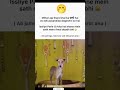 Haldi #viral #funny #trendingshorts #viralshorts #memes #comedy #trending