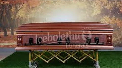 Eliza Lou Norton Obituary News, Death  Cause of De...