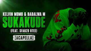 Kelvin Momo & Babalwa M - Sukakude (feat. Sfarzo Rtee) [Acapella]