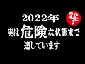 【斎藤一人】※至急気が付いてください!過去比〇%増の危機的状況の原因はまさかの「○○」なんです!絶対にあなたは回避してください!【光の言霊】