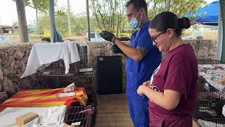 Aruba Animal Welfare